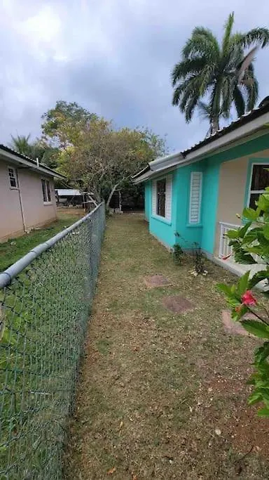 C Island Experience 0*, Montego Bay Jamaica