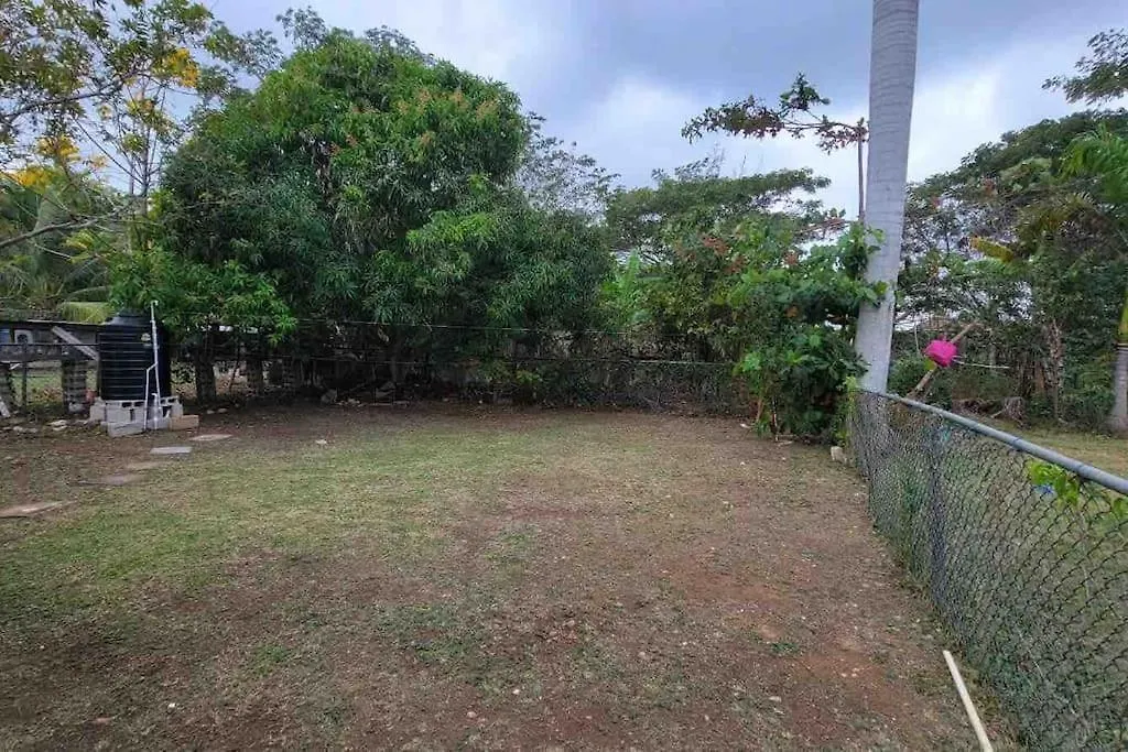 C Island Experience Holiday home