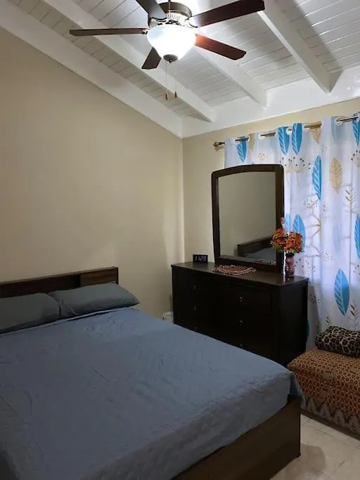 C Island Experience Jamaica